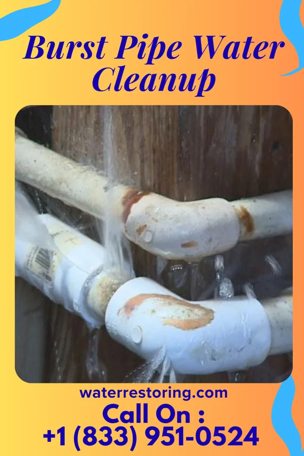 Burst Pipe Water Cleanup in Three Lakes, MI
