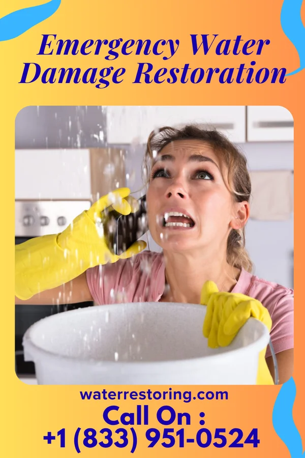 Emergency Water Damage Restoration in Three Lakes, MI