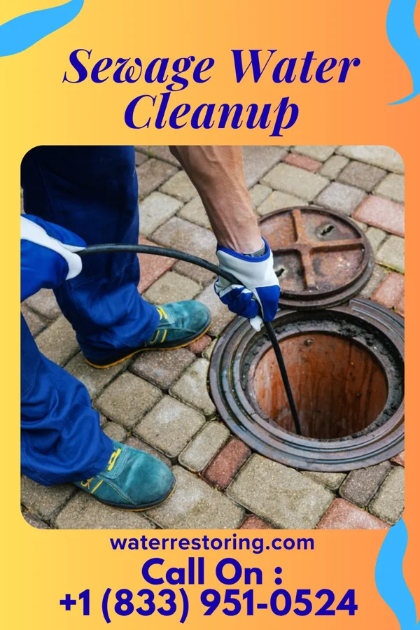 Sewage Water Cleanup in Three Lakes, MI